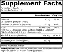 Load image into Gallery viewer, Methyl Guard